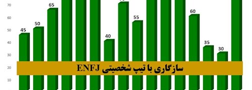 سازگاری تیپ شخصیتی ENFJ با دیگر شخصیت های MBTI