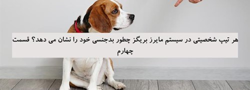 هر تیپ شخصیتی در سیستم مایرز بریگز چطور بدجنسی خود را نشان می دهد؟ قسمت چهارم