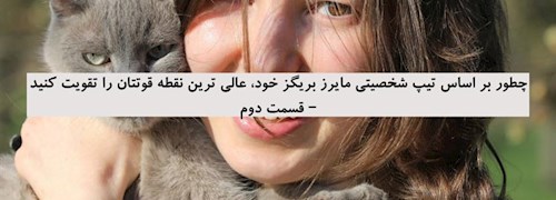 چطور بر اساس تیپ شخصیتی مایرز بریگز خود، عالی ترین نقطه قوتتان را تقویت کنید – قسمت دوم